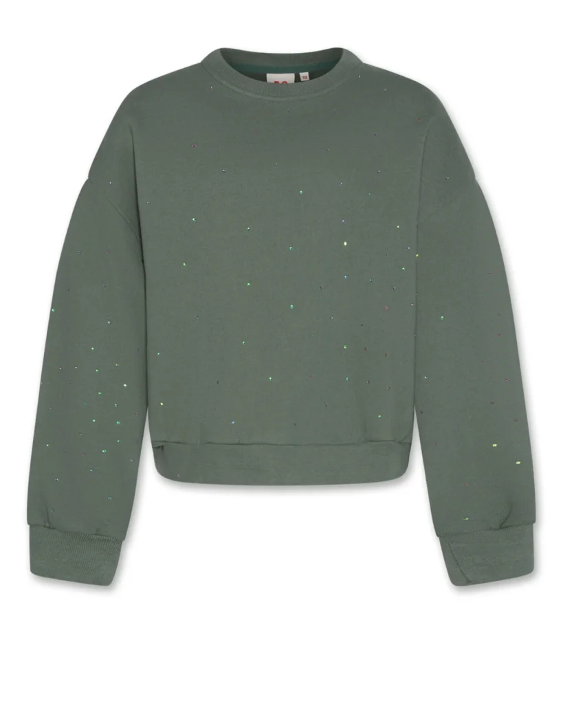 AO76 NOEMI SWEATER STRASS Forest
